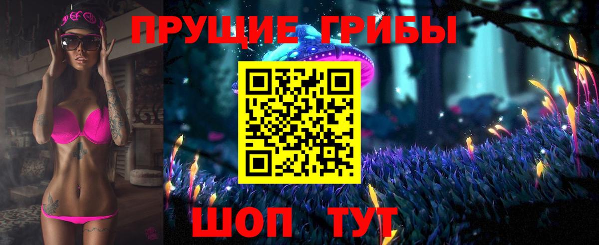 Анжеро-Судженск  Галлюциногенные грибы Psilocybine cubensis  Вход с VPN 